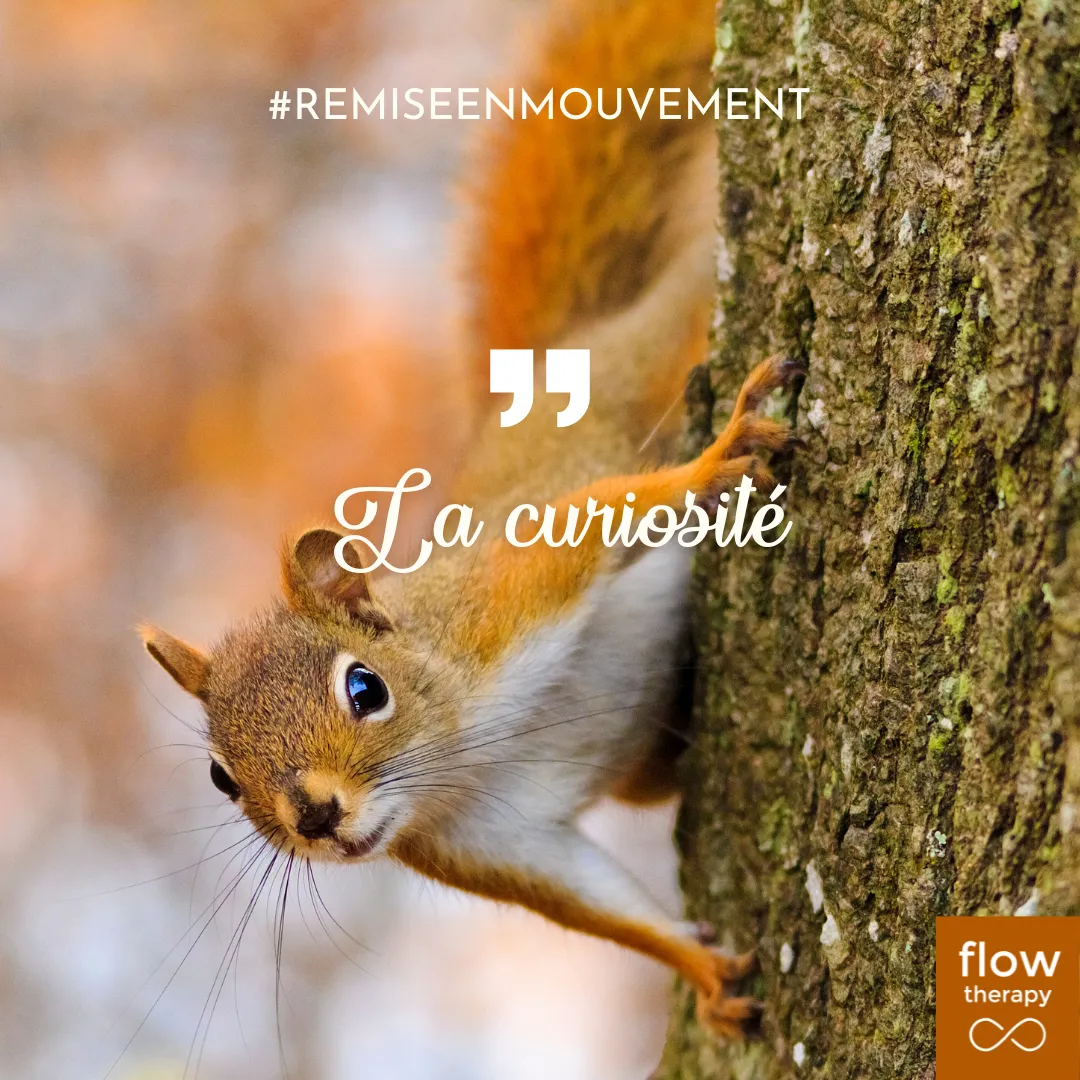 Illustration de l'article : un écureuil sur un tronc d'arbre, couverture « La curiosité »