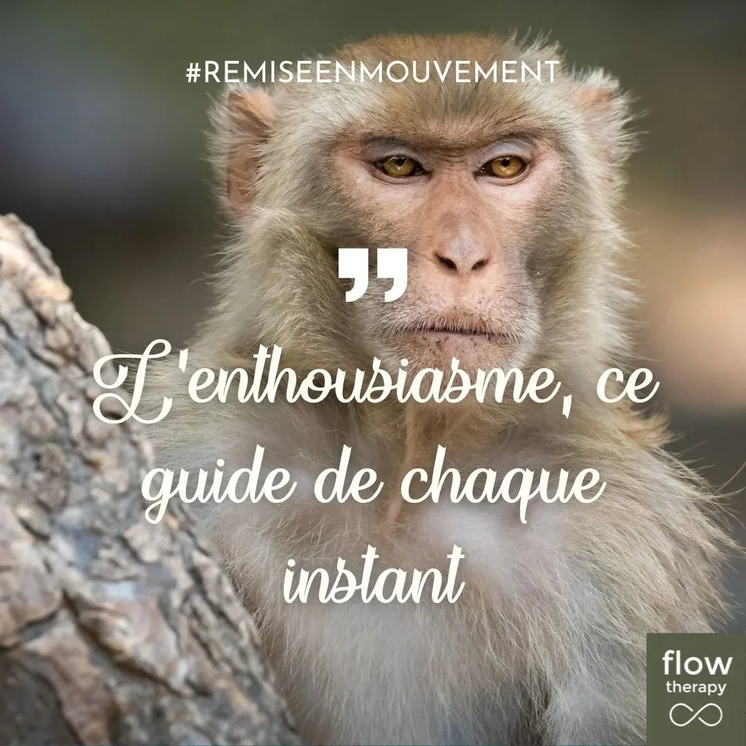 Illustration de l'article : un singe assis sur une branche, couverture « L'enthousiasme »
