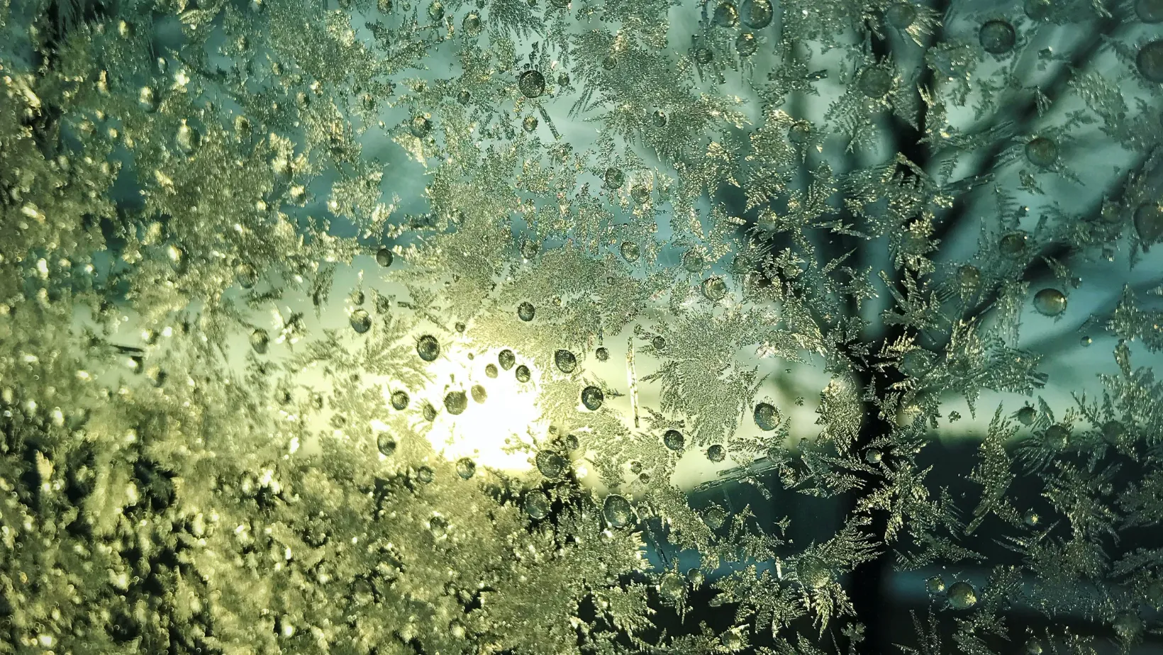 Cristaux de givre traversés par la lumière du soleil