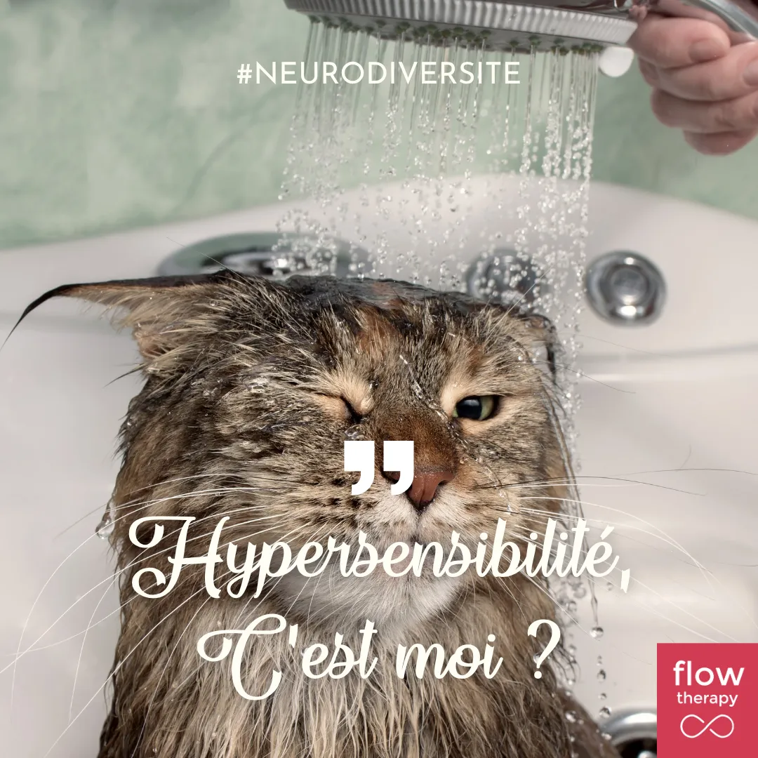 Illustration de l'article : un chat sous la douche, couverture « Hypersensibilité, c'est moi ? »