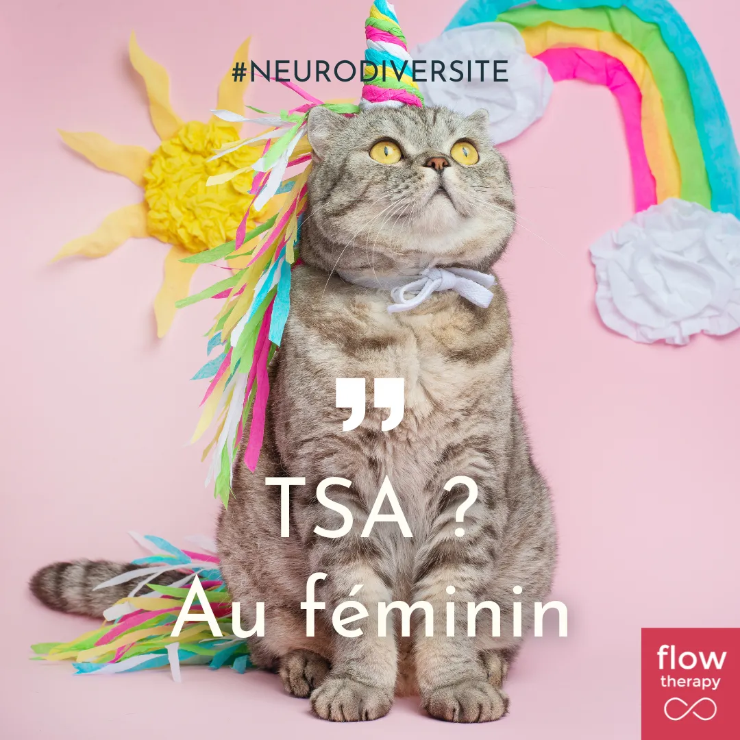 Illustration de l'article : un chat déguisé sous un arc-en-ciel, couverture « TSA au féminin »