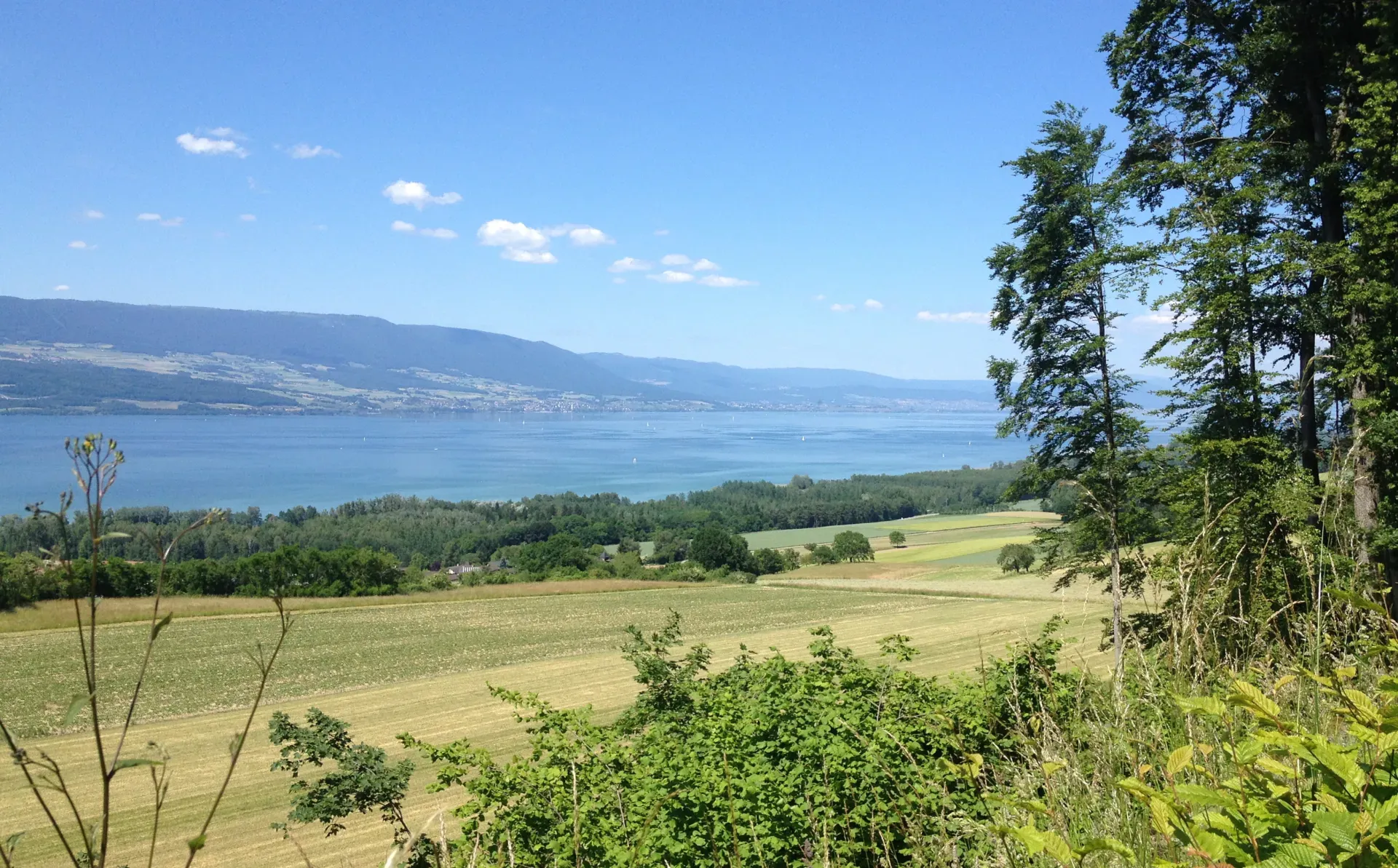 Le lac de Neuchâtel vu depuis les champs au-dessus d’Yvonand